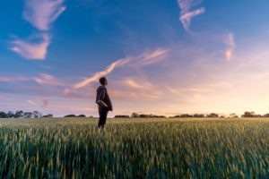 Orientamento Perito Agrario